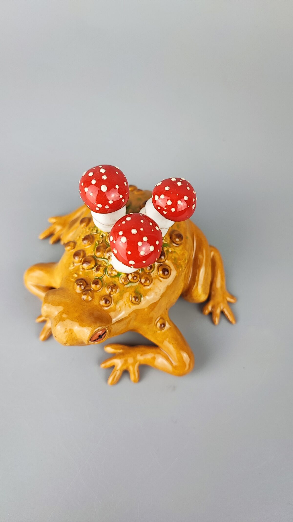 Ropucha z muchomorami Ropucha z muchomorami