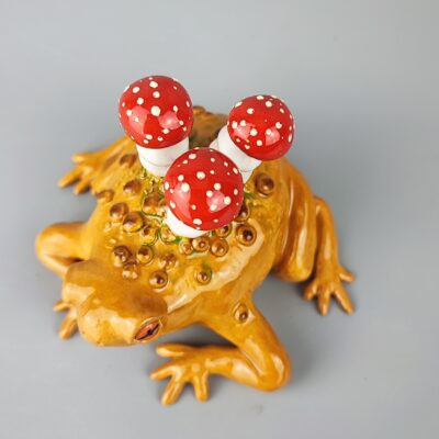 Ropucha z muchomorami Ropucha z muchomorami