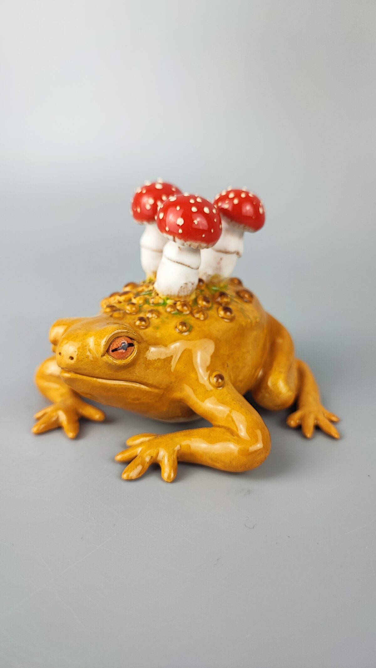 Ropucha z muchomorami Ropucha z muchomorami