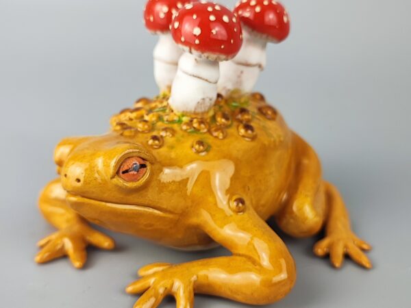Ropucha z muchomorami Ropucha z muchomorami